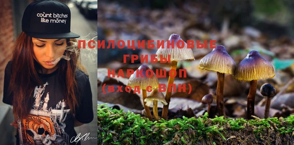 ALPHA-PVP Богданович