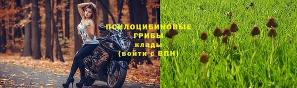 марки lsd Богородск